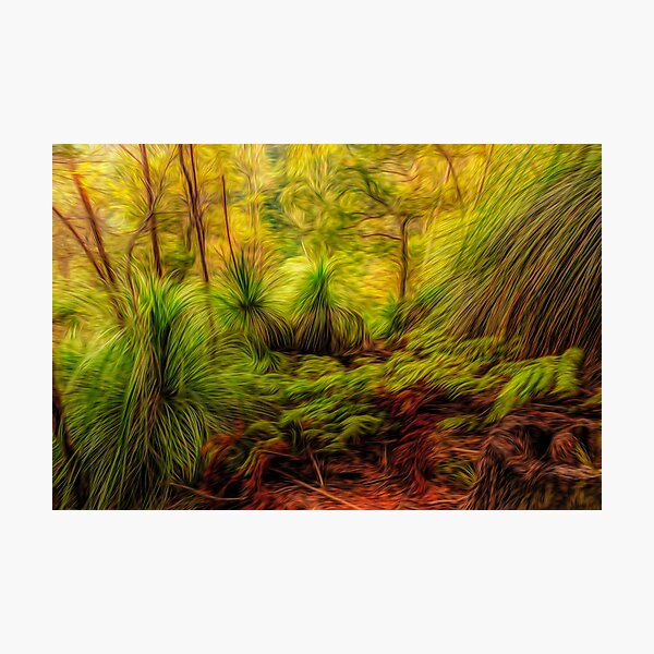 Item preview, Whispers in the forest designed and sold by Belinda Kranz.