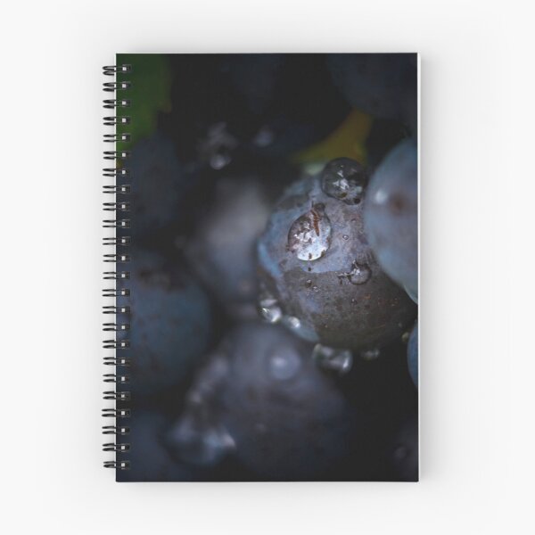 Item preview, Gamay fruits of Beaujolais designed and sold by Gaël FONTAINE.