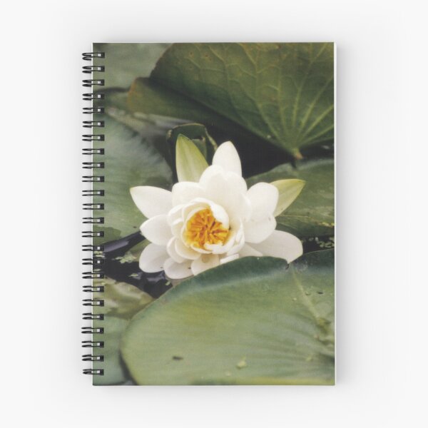 Artikelvorschau, Floating Lily entworfen und verkauft von Lorelle Gromus.