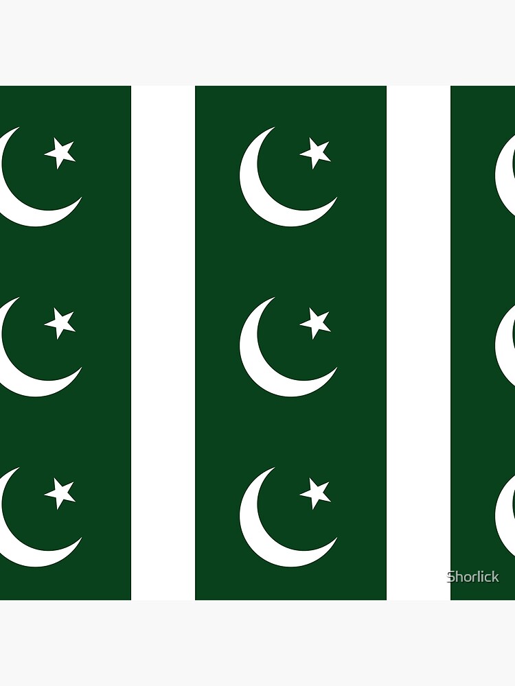 Aperçu 3 sur 3. Coussin avec l'œuvre Drapeau du Pakistan créée et vendue par Shorlick.