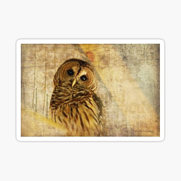Item preview, Here's Lookin' At You, Kid! designed and sold by Lois  Bryan.
