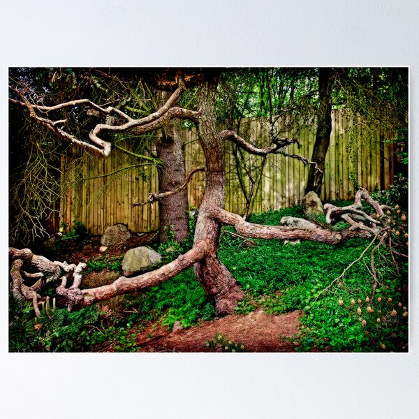 Item preview, Twisty Old Tree designed and sold by Lynnette Peizer.