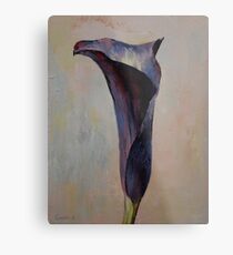 Black Calla Lily Metal Print