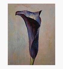 Black Calla Lily Photographic Print