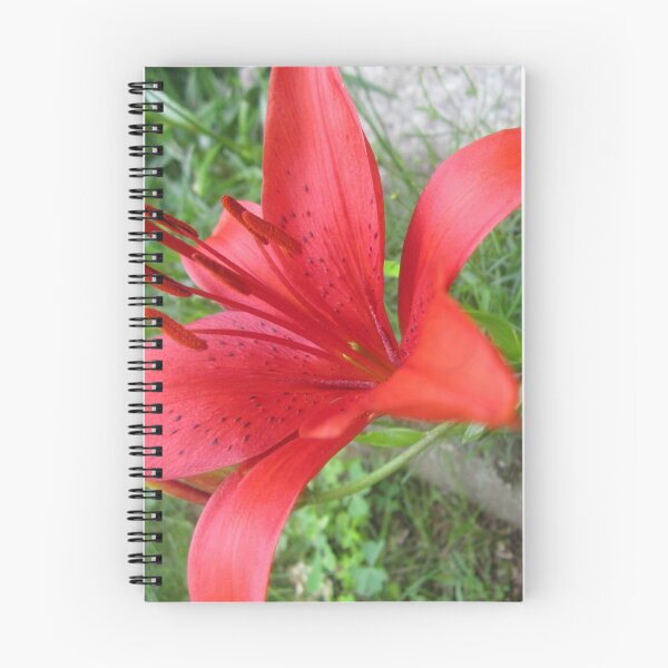 Item preview, Floret designed and sold by KOKeefeArt.
