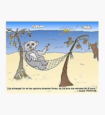 news options binaires en bd un trader ourse koala Photographic Print