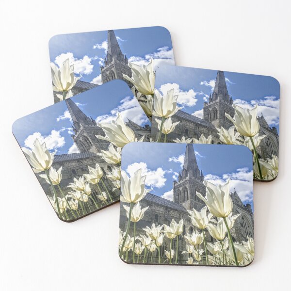 Item preview, White Tulips designed and sold by Seashorepics.