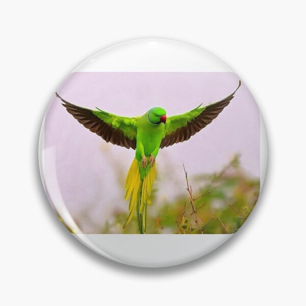 Item preview, Green Parrot designed and sold by KNBS.
