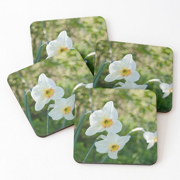 Aperçu de l'œuvre Daffodils  créée et vendue par elstoleno.