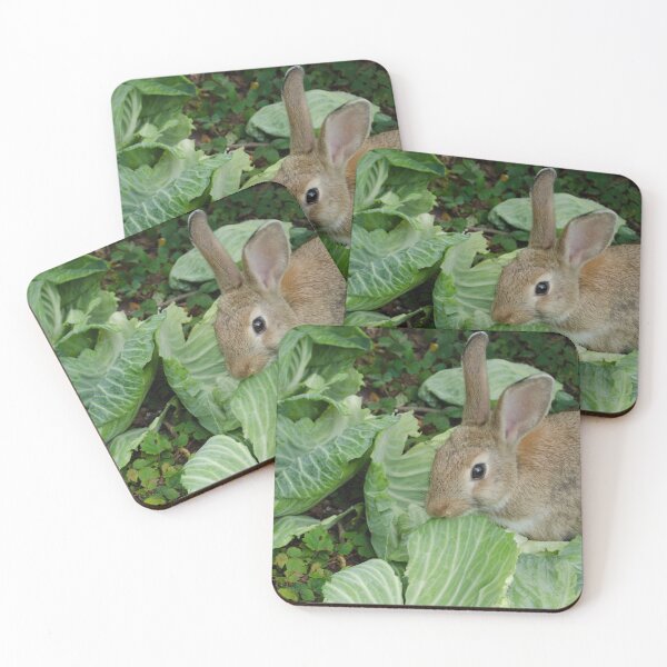 Item preview, Okunoshima Rabbit Island designed and sold by elstoleno.