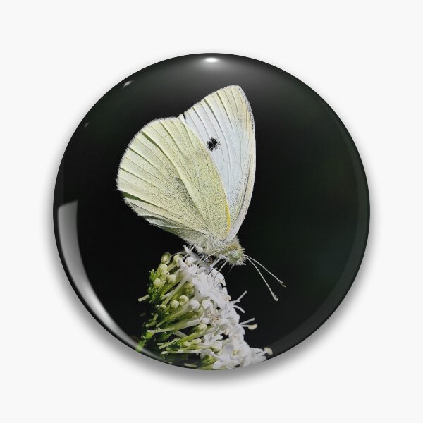 Item preview, Un Amour Love de  Papillons - Butterfly  1 (h)  Okaio Création & Olavia-Olao designed and sold by o.okaïo.