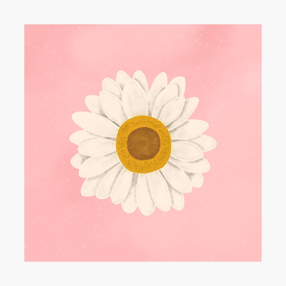 Cute Daisy Flower Pastel Pink Poster By Trajeado14 Redbubble