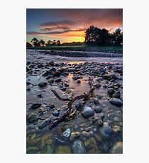 Pastel Dawn Driftwood Photographic Print