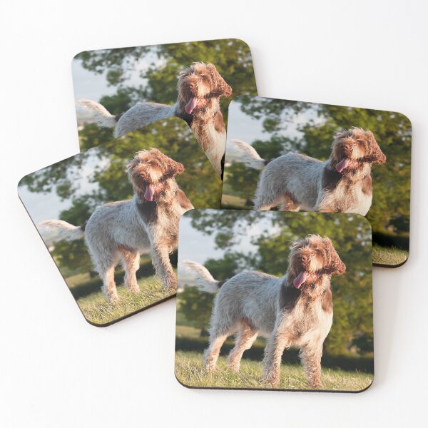 Item preview, Windswept Spinone designed and sold by FOLK ART FUSION by heidiannemorris.