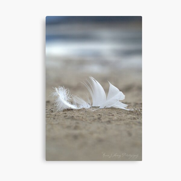 Purity Canvas Print