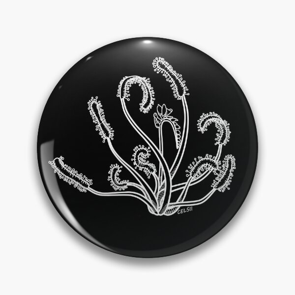 Item preview, Drosera Capensis Carnivorous plant Cape Sundew Gift Drawing White designed and sold by Carnivorous  Plant Club ⭐⭐⭐⭐⭐.