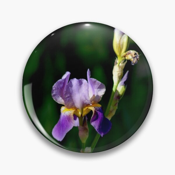 Item preview, Iris standing alone designed and sold by MoreGoodArt.
