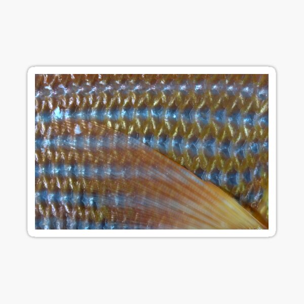 Wonderful sea world Sticker