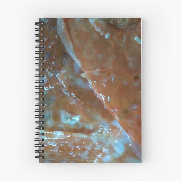 Item preview, Wonderful sea world 3 designed and sold by Stefan Bau.