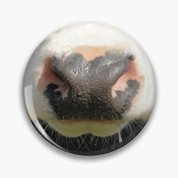 Item preview, Moo Snout 2 designed and sold by Barrie Woodward.