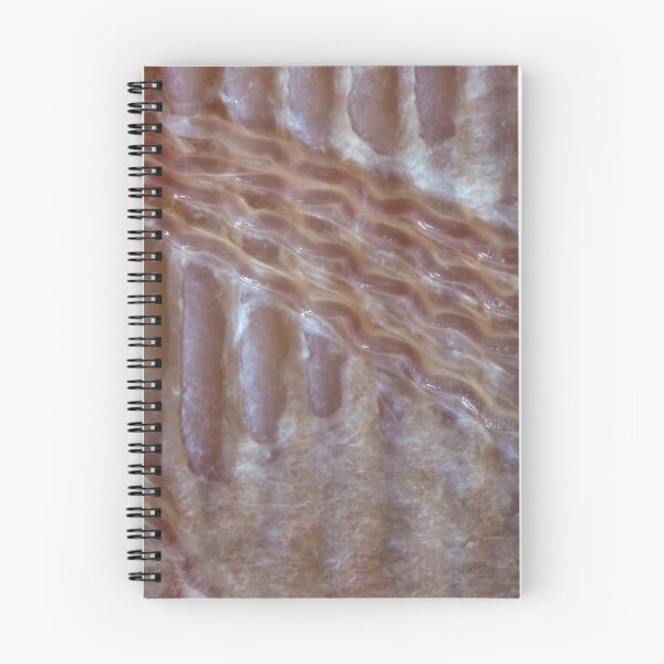 Item preview, Wonderful sea world 4 designed and sold by Stefan Bau.