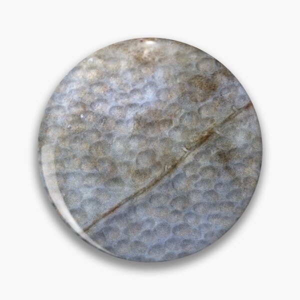 Item preview, Wonderful sea world 6 designed and sold by Stefan Bau.