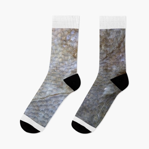 Item preview, Wonderful sea world 6 designed and sold by Stefan Bau.