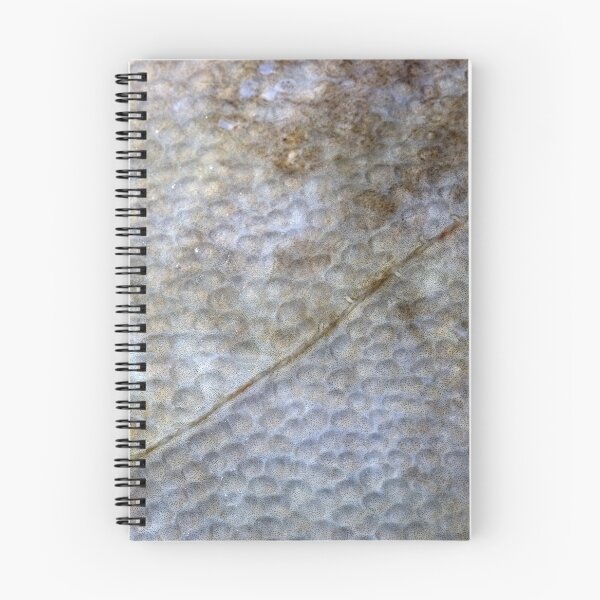 Item preview, Wonderful sea world 6 designed and sold by Stefan Bau.