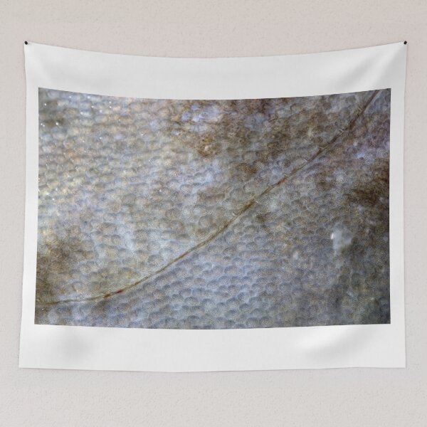 Item preview, Wonderful sea world 6 designed and sold by Stefan Bau.