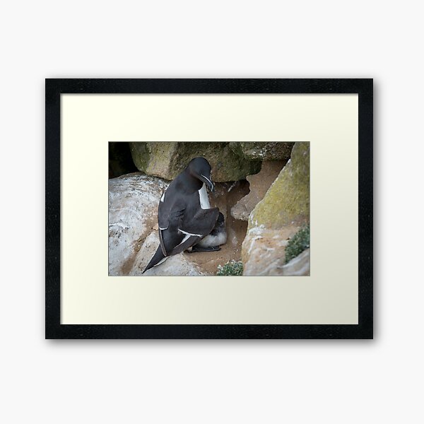 Item preview, Shielding her new-born designed and sold by AndrewJonesFoto.