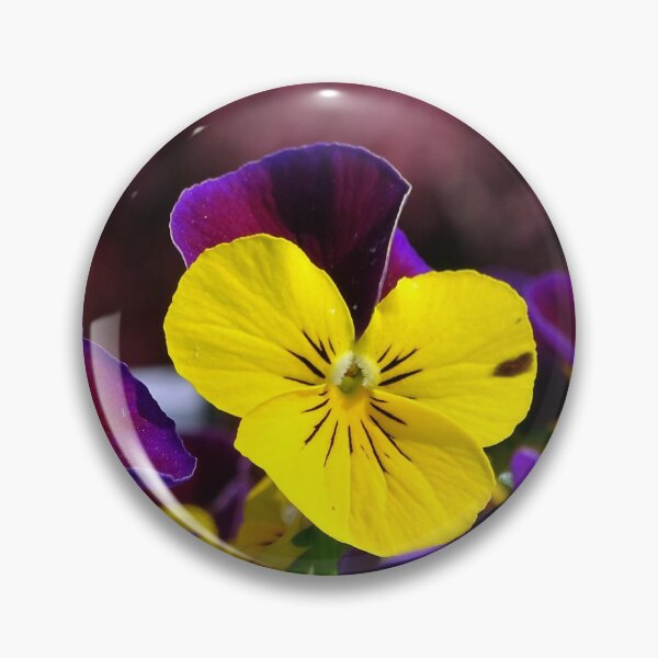 Artikelvorschau, Viola Tricolor entworfen und verkauft von Barrie Woodward.