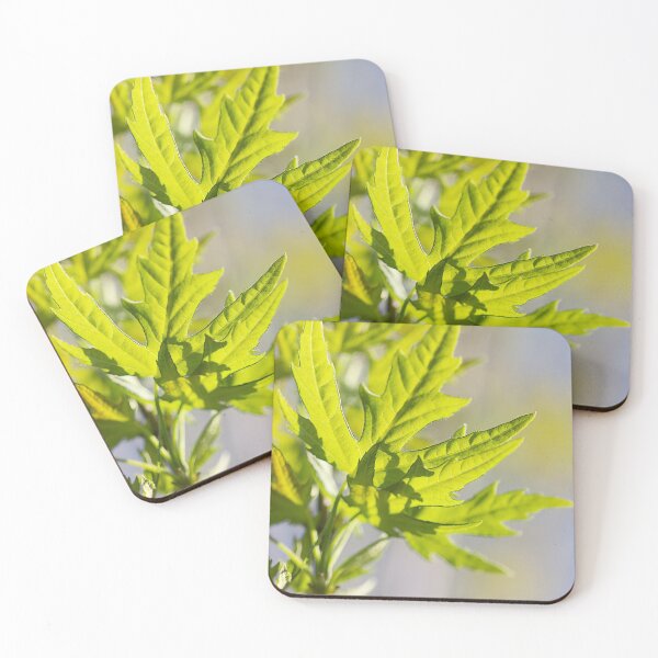 Item preview, Renewed designed and sold by Linda Lees.