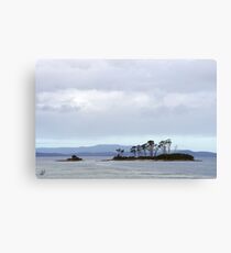 Tasman Sea Canvas Print
