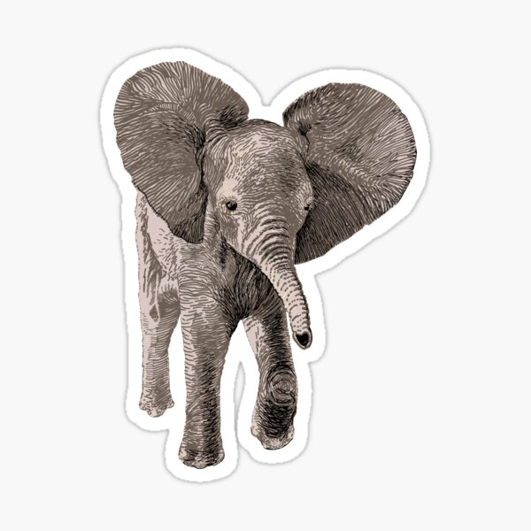 Baby Elephant design for children's t shirts and more Sticker