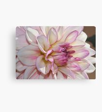 Single Dahlia Metal Print