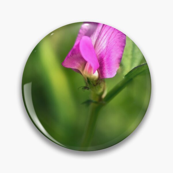 Item preview, Common Vetch (Vicia sativa)  designed and sold by Hugh McKean.