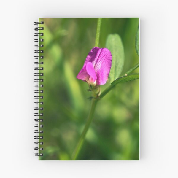 Item preview, Common Vetch (Vicia sativa)  designed and sold by Hugh McKean.