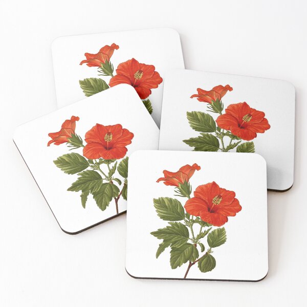 Item preview, Hibiscus flower Antique Botanical Illustration designed and sold by Happy Puppy Print On Demand.