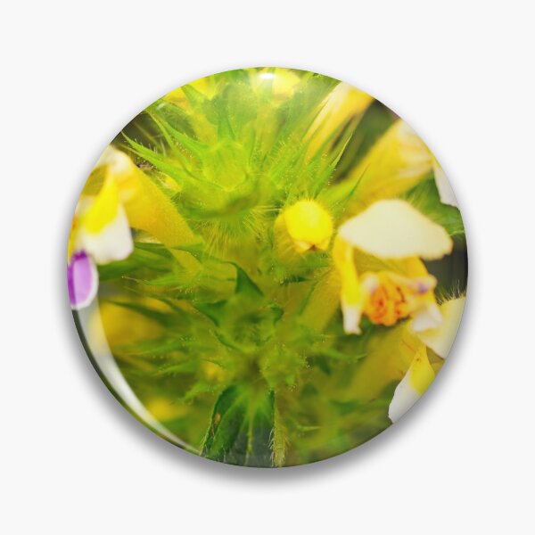 Item preview, Large-Flowered Hemp-nettle (Galeopsis speciosa) designed and sold by Hugh McKean.