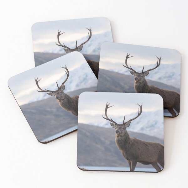 Item preview, Red Deer Stag in Highland Scotland designed and sold by derekbeattie.