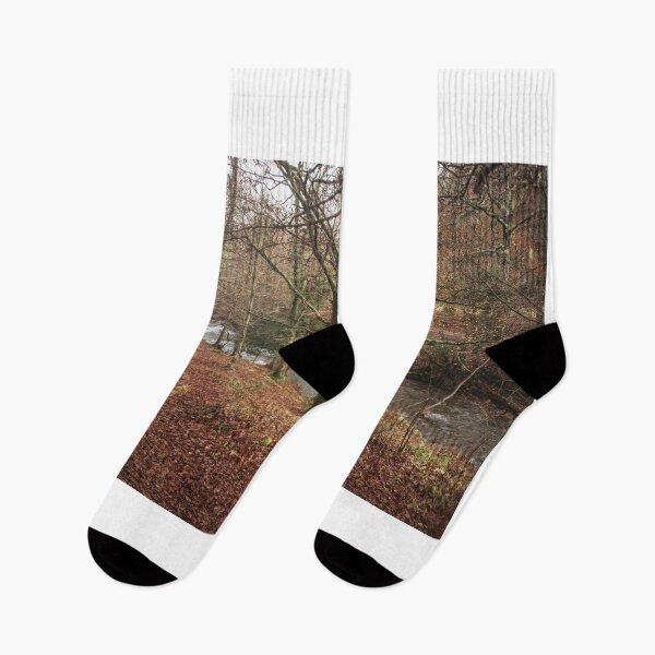 Item preview, Forest in autumn designed and sold by MarioGuti.