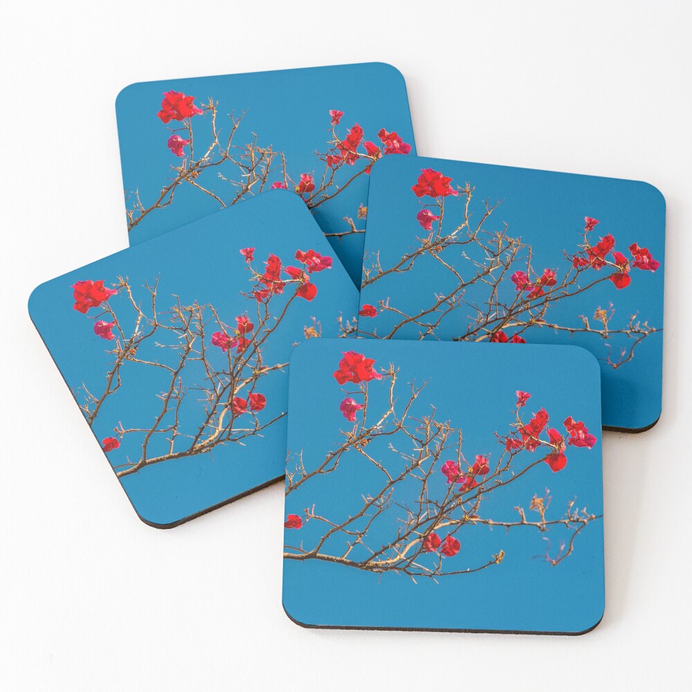 Item preview, Coasters (Set of 4) designed and sold by DFLCreative.