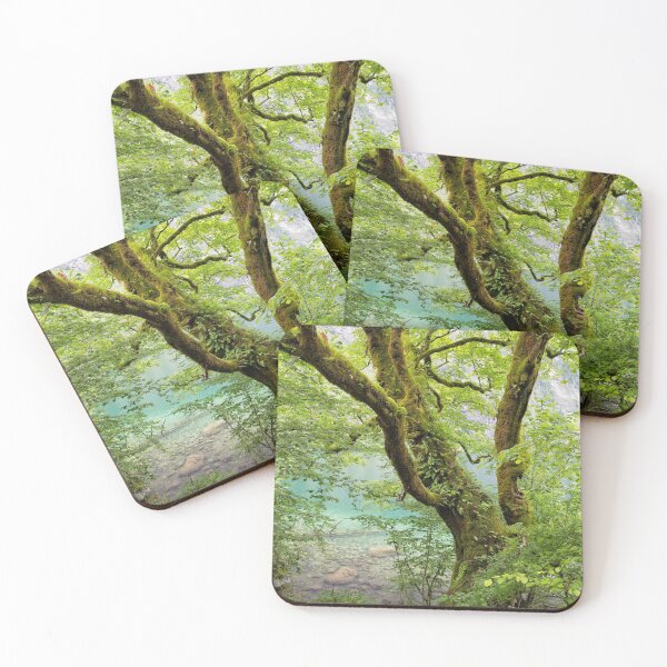 Item preview, Tree designed and sold by Yair Karelic.