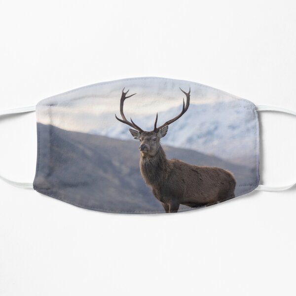 Red Deer Stag in Highland Scotland Mask