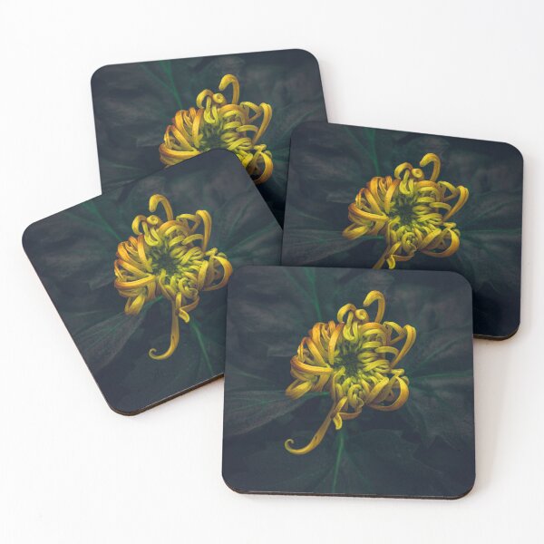 Item preview, kiku designed and sold by alan shapiro.