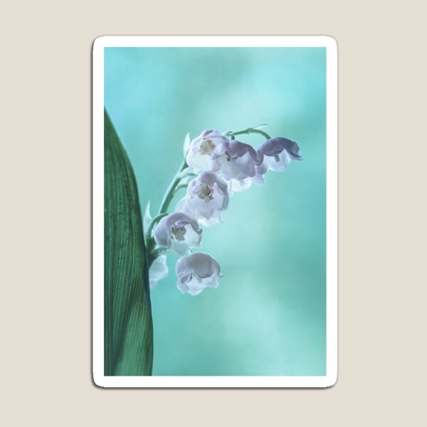 Aperçu de l'œuvre Fleurs de muguet avec des gouttes d'eau créée et vendue par torishaa.