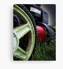 thatch Canvas Print