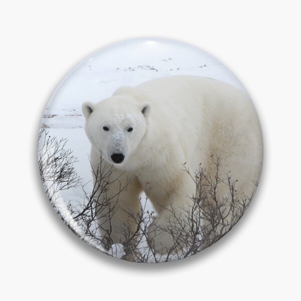 Item preview, Polar Bear in the Arctic Willow designed and sold by Carole-Anne.