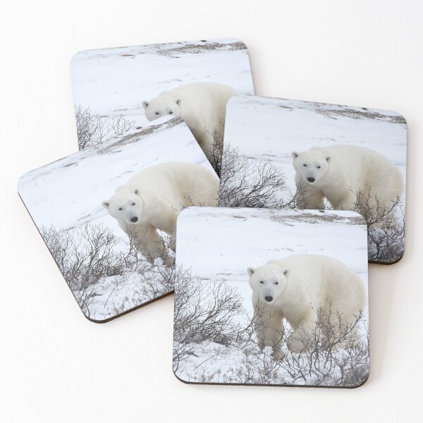 Item preview, Polar Bear in the Arctic Willow designed and sold by Carole-Anne.