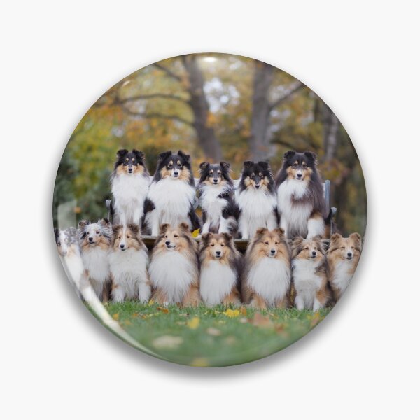 Item preview, Tycancy Shelties designed and sold by hadissima.